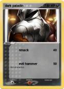 dark paladin