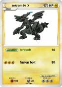 zekrom lv. X