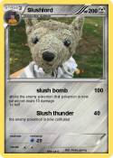 Slushlord Slushlord