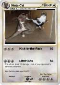 Ninja-Cat