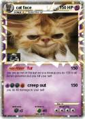cat face
