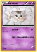 marshy cat