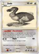 Dodo