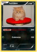 Fat Kitten