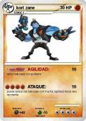 kort zane