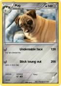 Pug