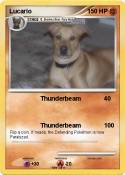 Lucario