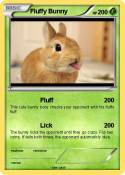 Fluffy Bunny
