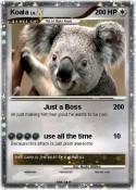 Koala