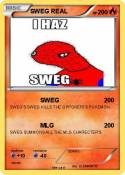 SWEG REAL