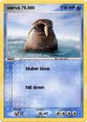 walrus 79,000