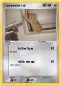 i surrender cat