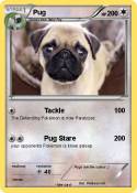 Pug