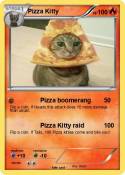 Pizza Kitty