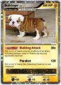 Bulldoger