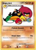 Angry bird
