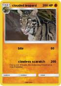 clouded leopard