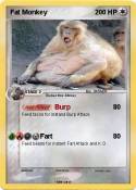 Fat Monkey Fat Monkey