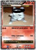 Ninja meow meow