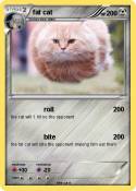 fat cat