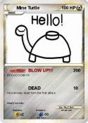 Mine Turtle
