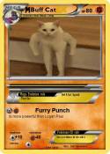 Buff Cat