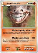 Stupid ostrich
