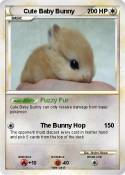 Cute Baby Bunny