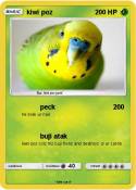 kiwi poz