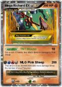 Mega Richard EX