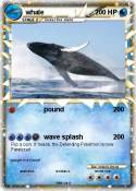 whale