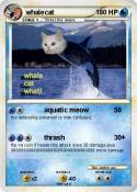 whalecat