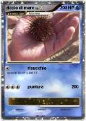 riccio di mare