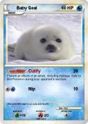 Baby Seal