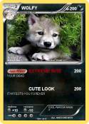 WOLFY