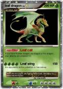 leaf dragon