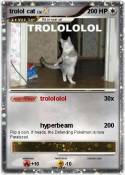 trolol cat