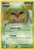 lime cat