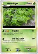 Green Algea