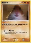 Hamster