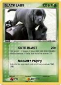 BLACK LABS
