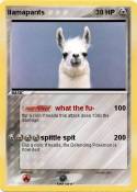 llamapants