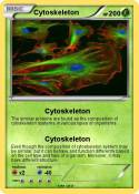Cytoskeleton