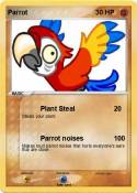 Parrot