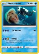Giant Jellyfish