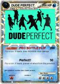 DUDE PERFECT