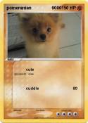 pomeranian 9000