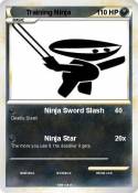 Training Ninja