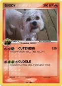 BUDDY
