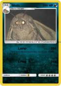 Moth